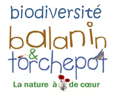 Logo BiodiversiteBalaninTorchepot