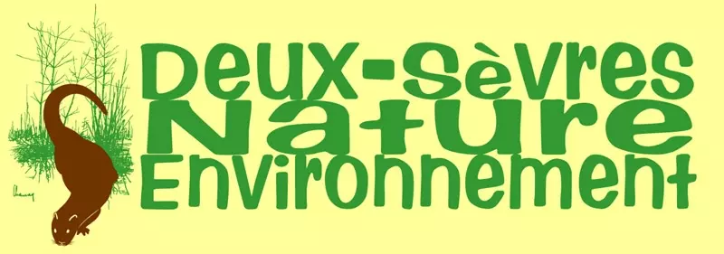 Logo DSNE